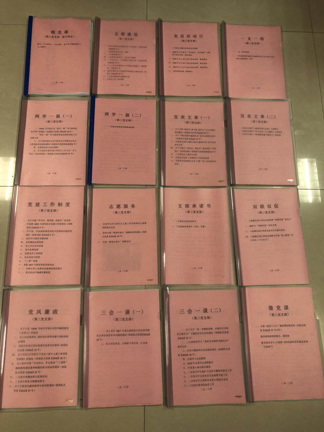 市统计局第三党支部基本建成党建工作规范化台账